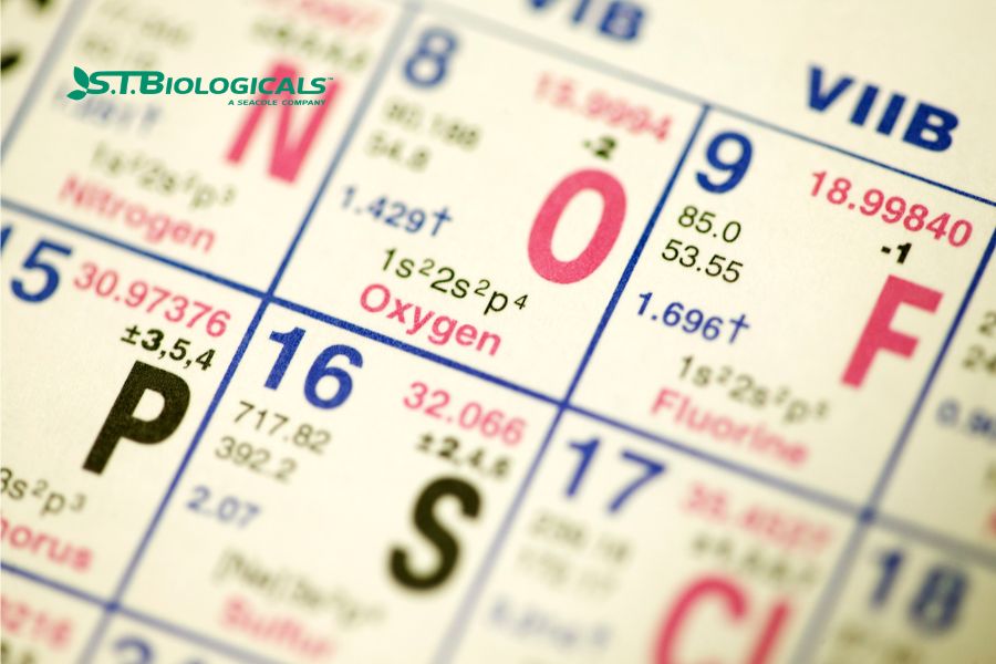 Micronutrients And Their Impact On Plant Health St Biologicals